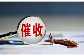 平昌融资清欠服务