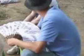 平昌债务清欠服务